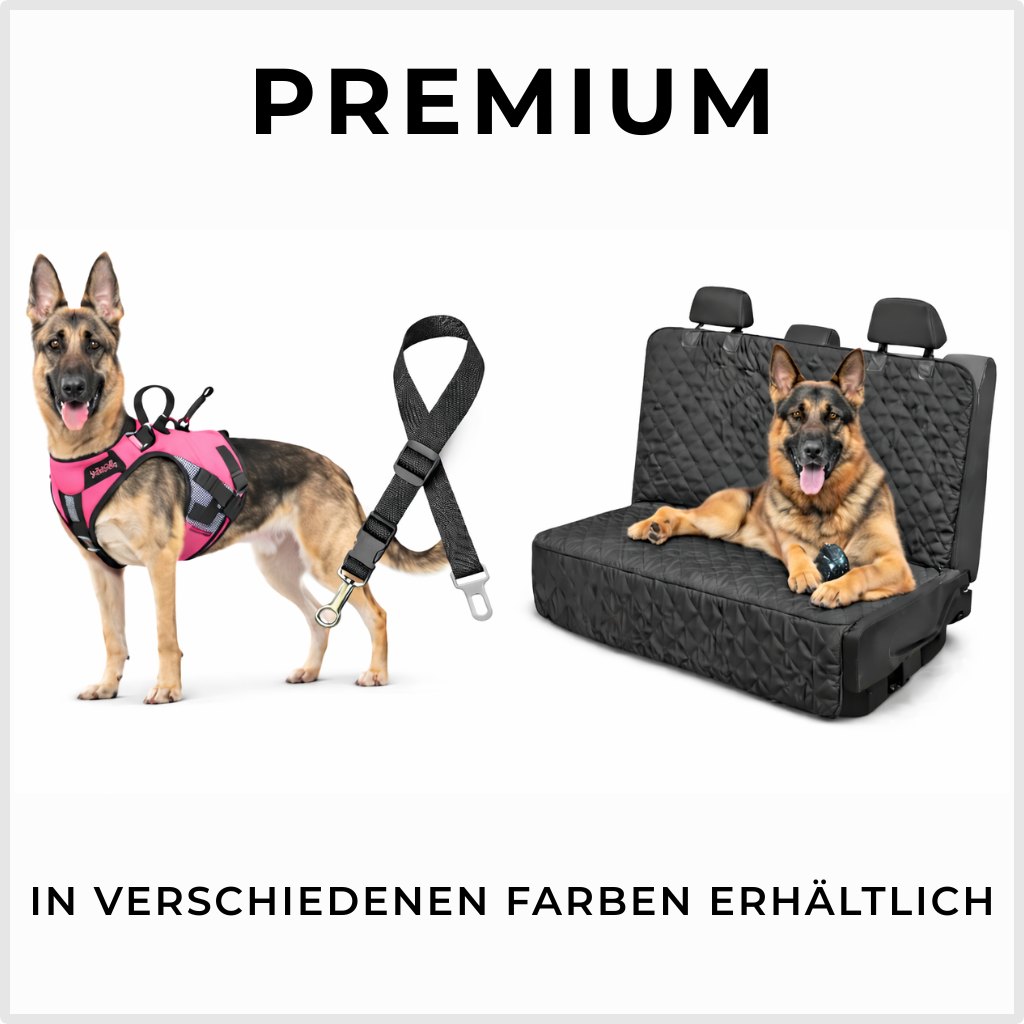 ⭐ Auto-Komplettset für Hunde