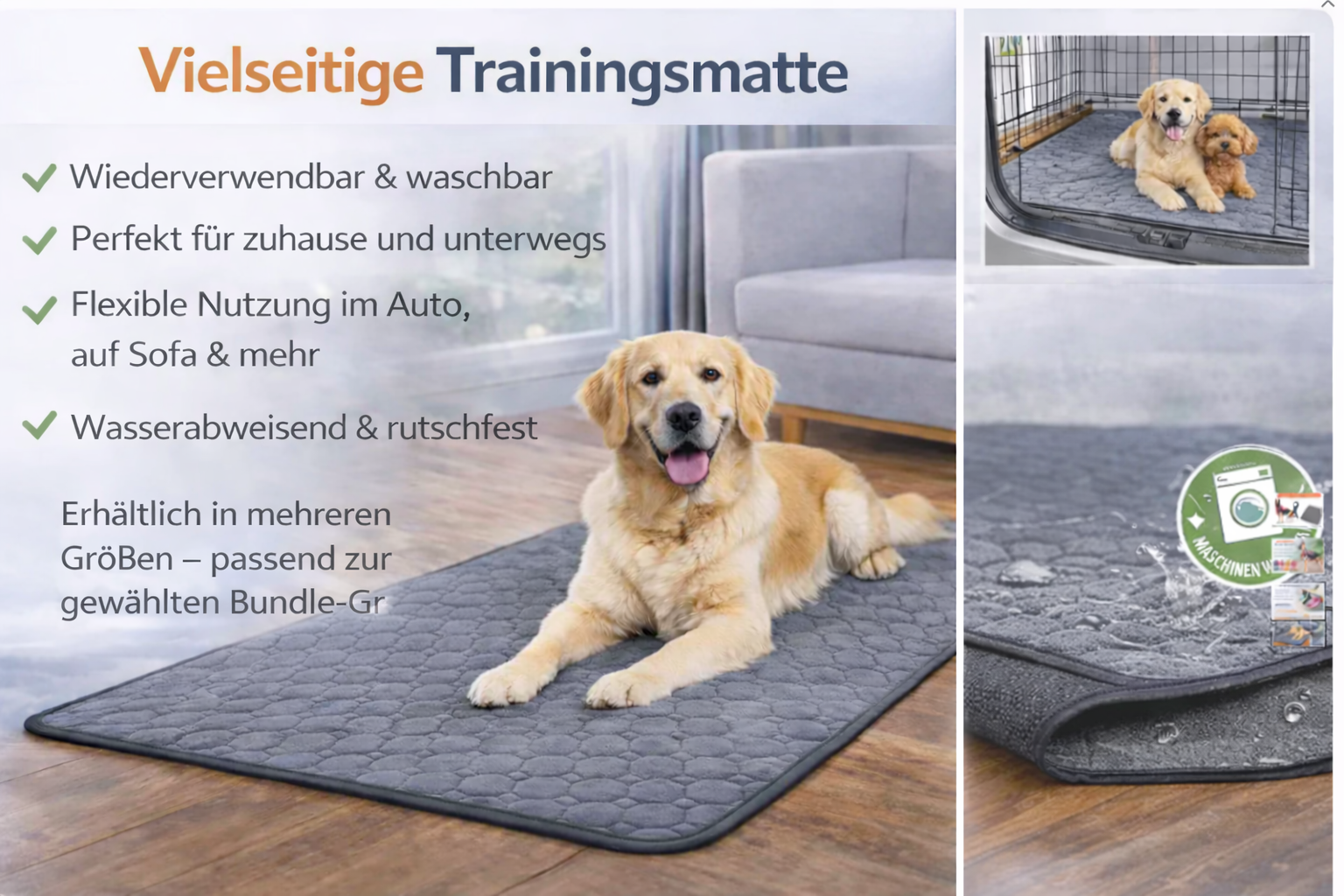 Auto-Set für Hunde