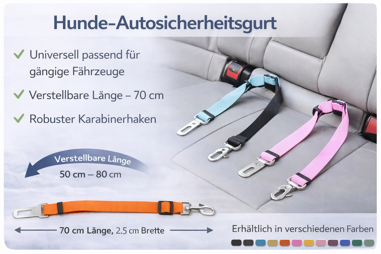 Auto-Set für Hunde