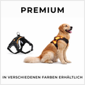 ⭐ LED Hundegeschirr